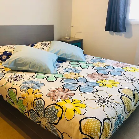Apartment T1 Bis Tres Proche Centre Et Canal