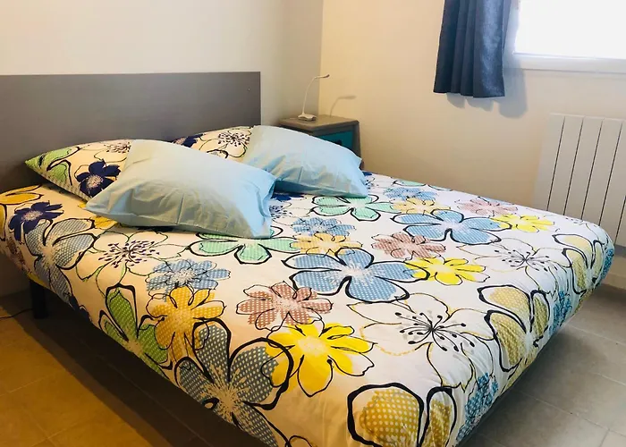 Appartement T1 Bis Tres Proche Centre Et Canal